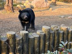 -常州淹城野生动物世界