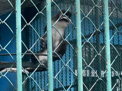 -秦皇岛野生动物园