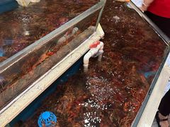 景观位-老姑砂锅·烧烤天津菜(体北道店)