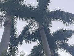 -广州市白云山风景名胜区