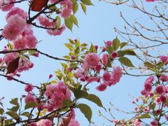 -长白岛森林公园