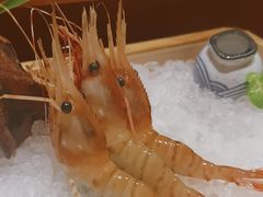 -月龍吟(朝龙汇店)