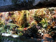 -北京植物园-展览温室