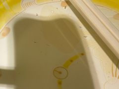 -探鱼·鲜青椒爽麻烤鱼(广州欣荣广场店)