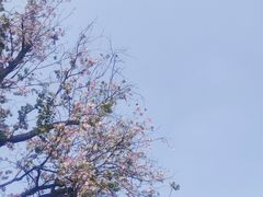 -东山湖公园