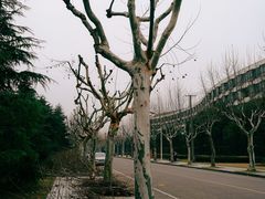 -同济大学(嘉定校区)