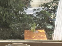-绿小院(荔湾店)
