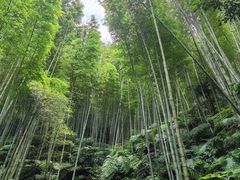 -蜀南竹海景区