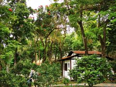 -深圳国际园林花卉博览园