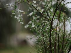 -悦哉·派对·草坪婚礼·围炉煮茶(三圣乡店)