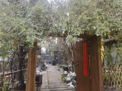 -谷咖啡·鲜花绿植花园餐厅
