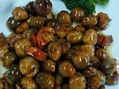 -森谷美食公园(杨行店)