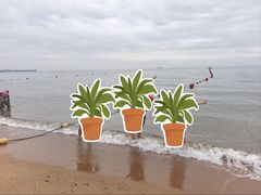 -兴城海滨风景区