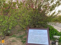 -北京鹫峰国家森林公园