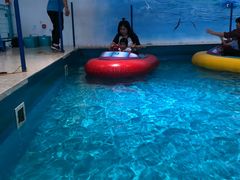 -蒙特利亲子乐园