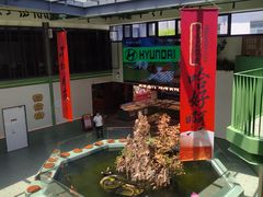 -永红源啤酒·烧烤·海鲜·大排档(台柳路店)