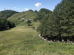 -驼梁风景区