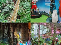 -正佳雨林生态植物园