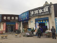 -秦美花卉(天朗·莱茵小城2期店)