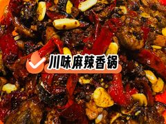 -柴窝堡22号辣子鸡·传承新疆菜