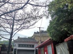 -白水寺森林公园