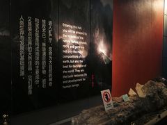 -烟台自然博物馆