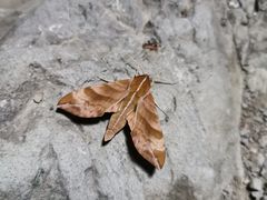 -鬼笑石后山停车场