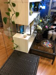 -轩舞汇·爵士舞街舞训练营