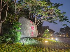 -野狸岛