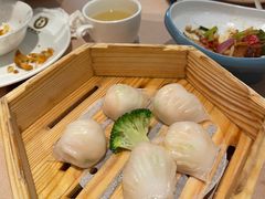-宝园酒家(美林M·LIVE天地东座店)
