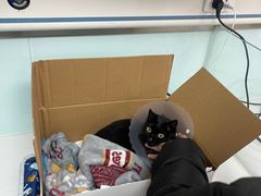 -达爱动物医院·犬猫分区·CT·复杂眼科(远洋山水分院)
