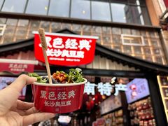 -黑色经典臭豆腐·湖南特产(坡子街店)