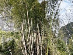 -明仕田园