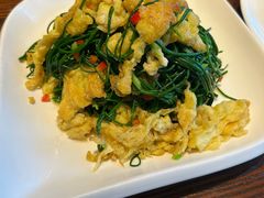 沙葱炒蛋-沙力海西北特色美食烤肉店(北门坡店)