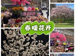 -维多利亚火车站