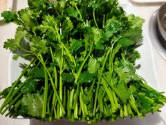 香菜（芫荽）-围炉夜话·潮汕卤水火锅(榕江店)