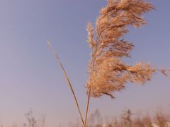 -筋面郎(东坡店)