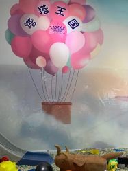 -塔塔王国·主题儿童游乐园(奥城商业广场店)