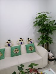 -悟空祛痘·亚健康皮肤管理中心