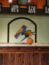 -未来动物城动物主题公园(大悦城店)