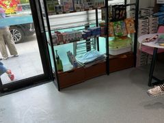 -心仪动物医院·牙专科·肿瘤·心脏科(西客站院)