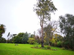 -墨尔本皇家植物园