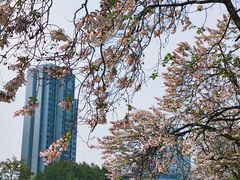 -成都市活水公园