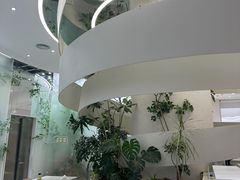 -大树餐厅(朝阳大悦城店)