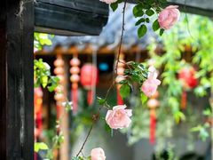 -素满香·素食自助餐(苏州·临顿路店)