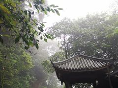 -碧峰峡风景区