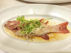 清蒸东星斑-唐宫·粤菜海鲜(万象城店)