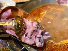 -土著渔匠·养生蝴蝶鱼(香樟路店)