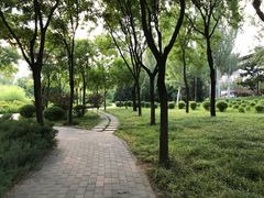 -北极寺公园
