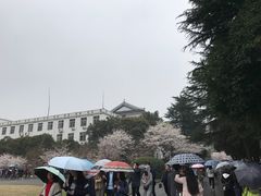 -武汉大学-樱园